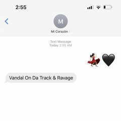 Vandal On Da Track & Ravage - Mi Corazòn (Radio Edit)