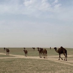‎⁨⚡️وقوف العزوتين ⚡️  كلمات : فالح ابو عضيده  ادا : خالد ال بريـك  حصريا 2022  💥🔥 (صوت)⁩.m4a
