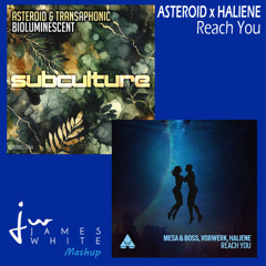 Asteroid x HALIENE - Reach You (James White Mashup)