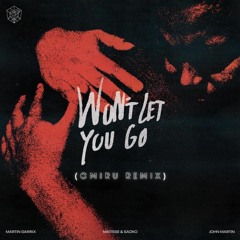 Martin Garrix - Won't Let You Go (Omiru Remix)