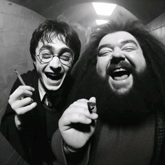 MTG - GET LOW x TOMA MARRETADA - DJ'S YAN MARIOTO, ANDRE MARQUES, DG DO SN