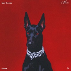 MUTT (+)