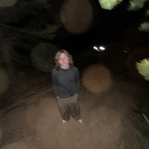 the vision