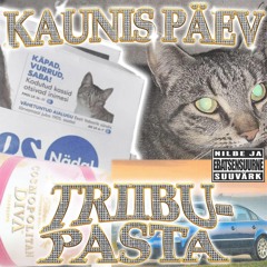 triibupasta - kaunis p2ev