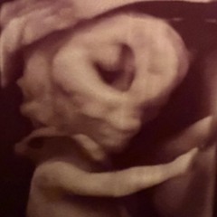 Downtempo ´She's Pregnant Session'