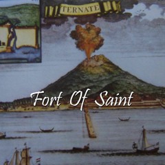 NIN9 - Fort Of Saint