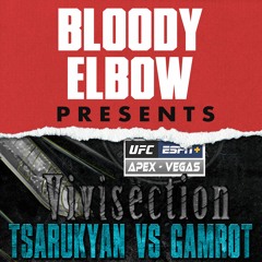 UFC VEGAS 57: TSARUKYAN VS GAMROT, Picks, Odds, & Analysis | The MMA Vivisection
