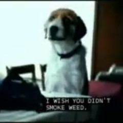 I wish you didn't smoke weed