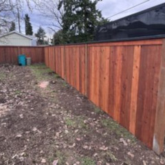 Fence Maintenance 101: Tips to Keep Your Fence Looking Great Year-Round