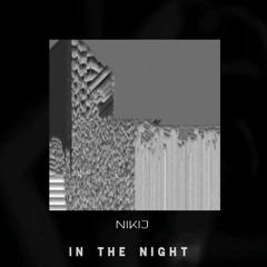 NIKI J - In The Night