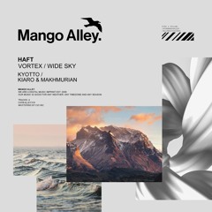 Premiere: HAFT - Vortex [Mango Alley]