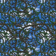 Stickerbush Symphony Restored to HD