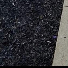 ️nonameneeded/projectsix