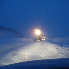 Routes & Branches & Beyond show # 388 2025 11 20