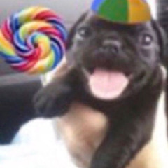 imam ali bashar assad