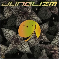KOSMOS186LPDGTL V/A "Junglizm V.4" (preview)