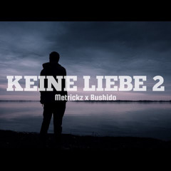 Metrickz ft. Bushido - Keine Liebe 2