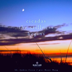 Cicadas & Stillness [naviarhaiku400]