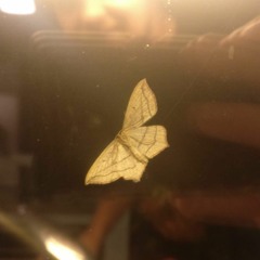 Return To Bank 11 - disquiet0492