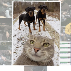 Budho Bhaiyo - The Firantee | Nepali Song | Official Music Video 2025