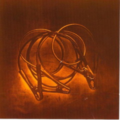 Mother Nature's Spies