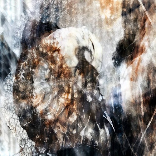 LIKIKON - TRUST THE GLITCH