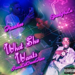 What She Wants(Ft.Traakoo & $peedyyy)