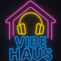 Vibe Haus Raid Train Ep 1 6.13.25