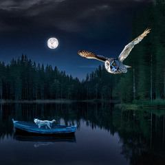 Lake Forest