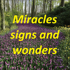 Miracles, Signs and Wonders