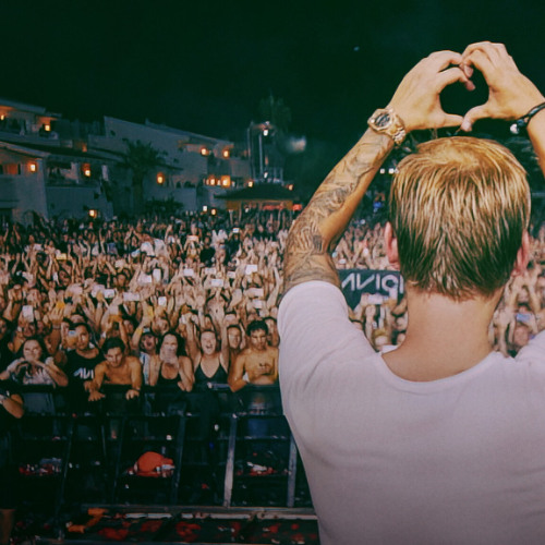 Life We Will Remember WIP 1