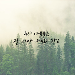 우리 아들들은 잘 자란 나무와 같고
