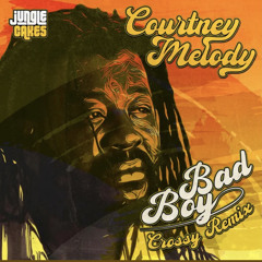 Courtney Melody - bad boy(crossy remix)
