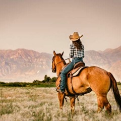 Losing A Cowgirl-Songwriters Donna Dutchess, Cindy Skinner, Chris Sligh