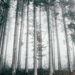 Sn0wScoTekk - Alleine im Wald-(Original Mix)