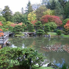 Need To Believe(1991)