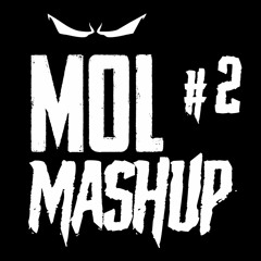 THE RAWNECKZ - MOLMASHUP #2