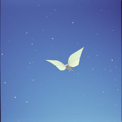紙の翼 (Wings of Paper)