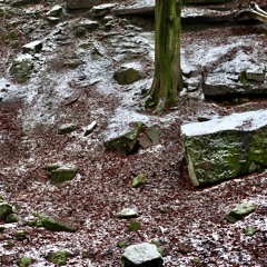 the warning | k i t  r a d f o r d - ambient poetry