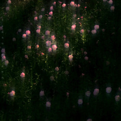 ‎⁨تلاوة من سورة البقرة ، عثمان محمود⁩.m4a