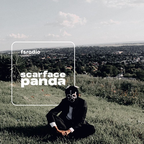The Scarface Panda Show