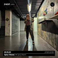 Soundcloud podcast image for Spicy Waves avec Spicy Alchemy - 24/