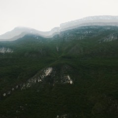 TR009[√ocal√œrgo]