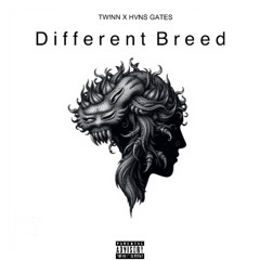Different Breed (FEAT. HVNS GATES)