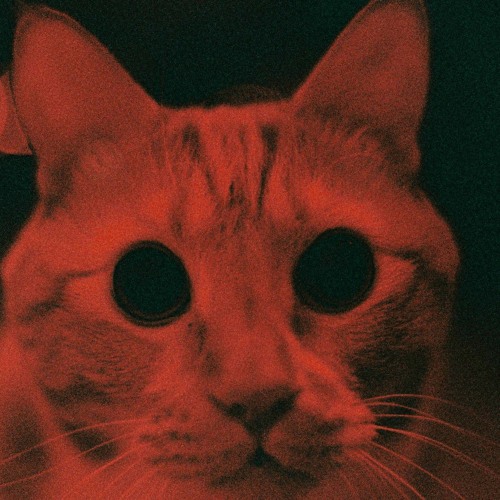 Moonlight (Original by Kali Uchis)