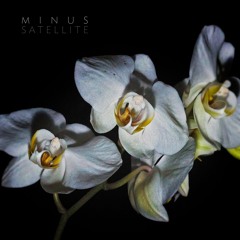 I Leaped Ahead Of God (Elevation)