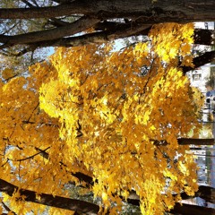 Beast Trap 13-08-2020 11-05