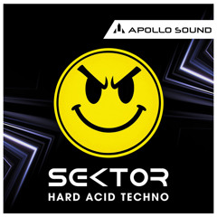 Sektor Hard Acid Techno