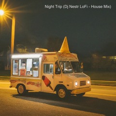 Night Trip (Nestr House, LoFi-House mix)