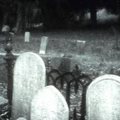 do.you.wanna.die.today prod ogplug2016